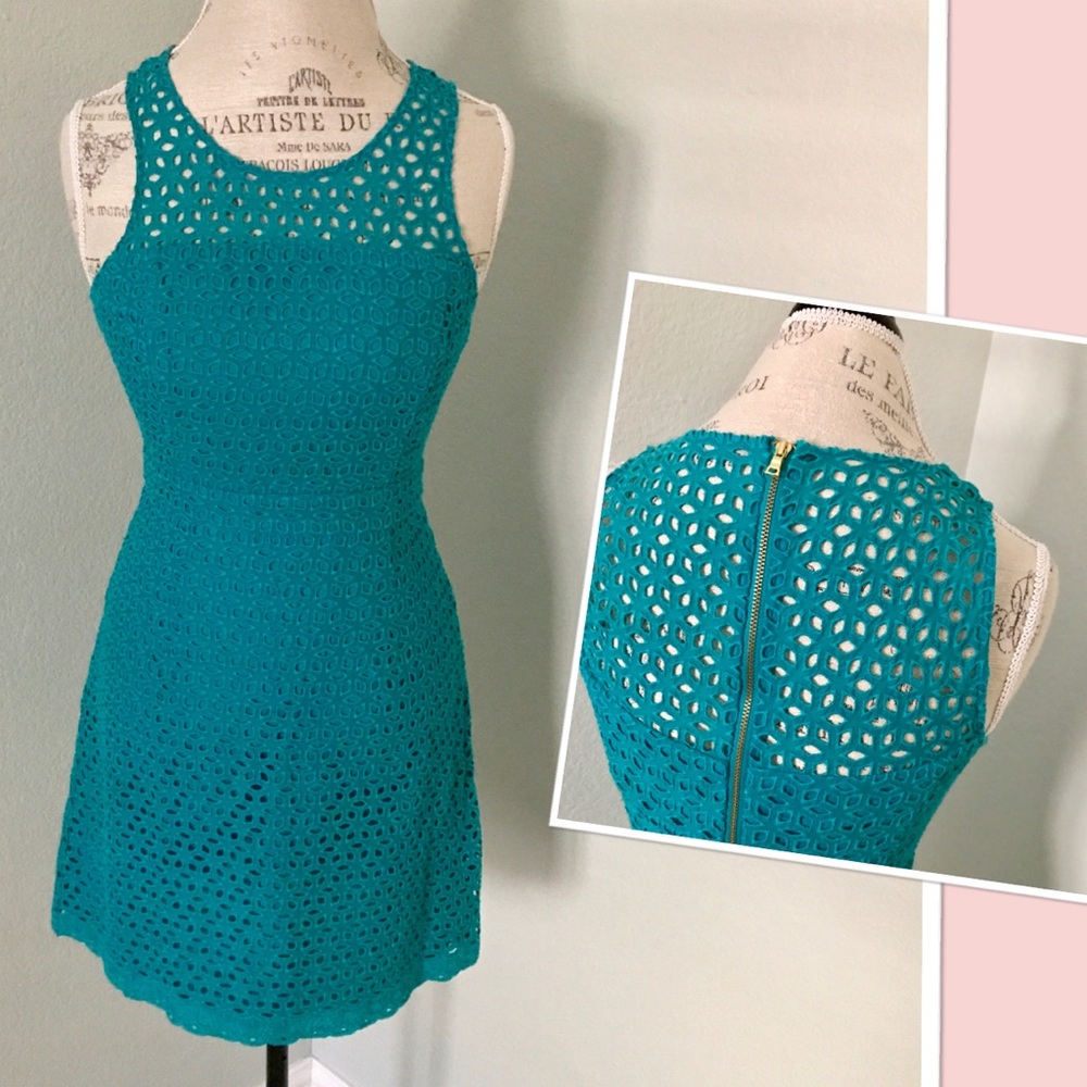 Ali Ro fit and flare dress